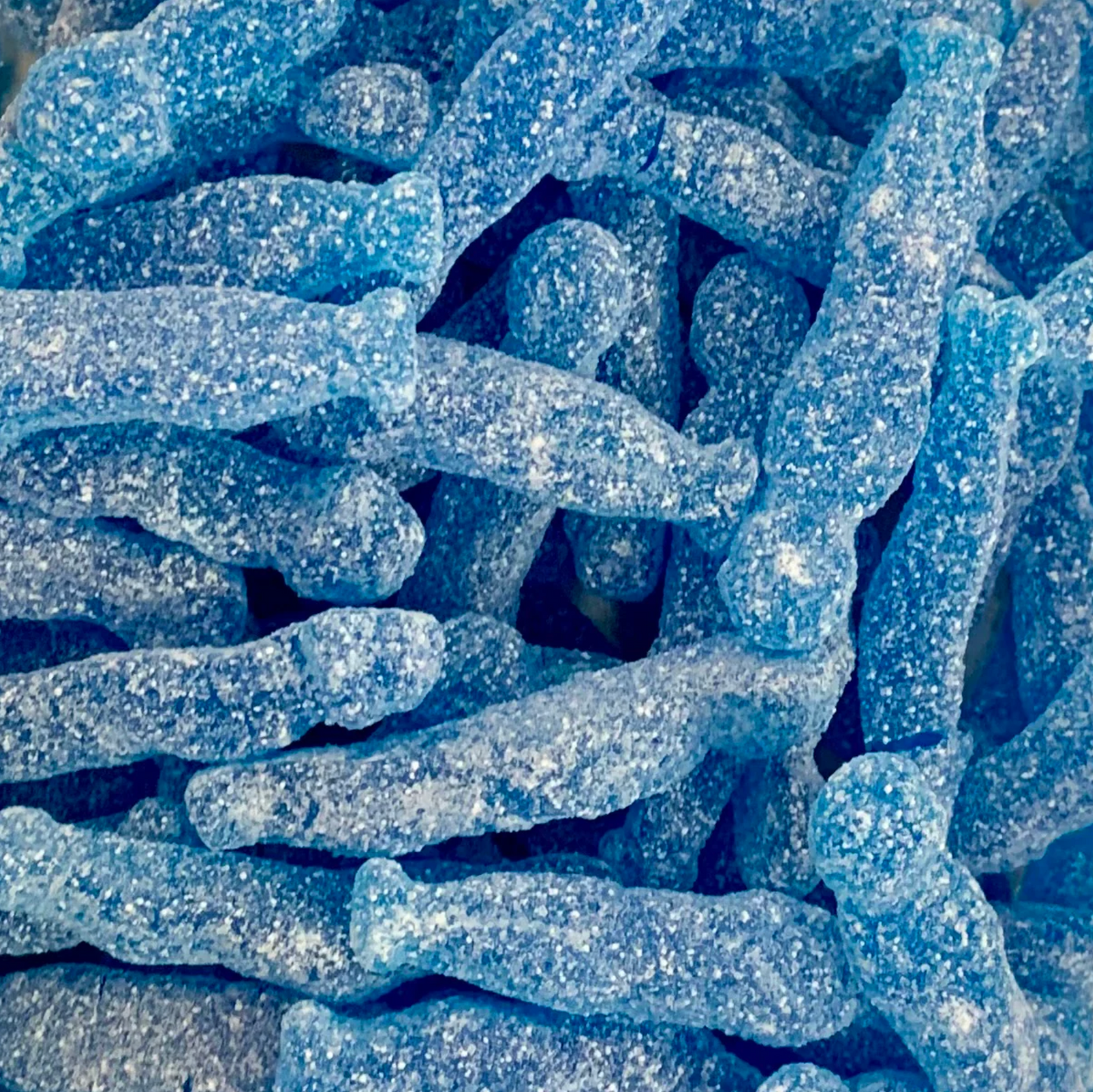 Sour Blue Raspberry Meerkats